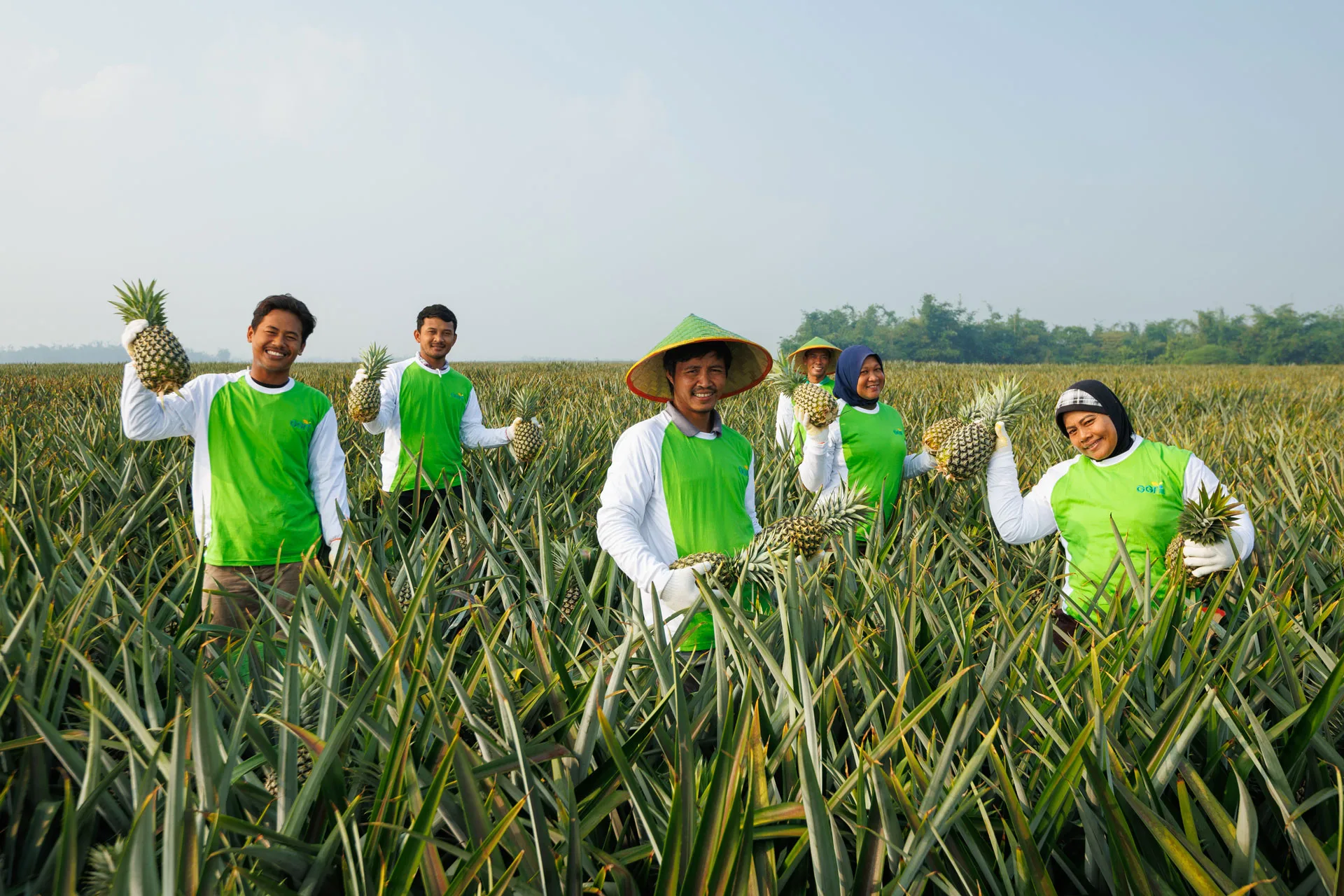 Harvesting Goodness, Nurturing Tomorrow